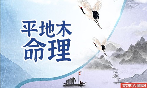 平地木命人伤官见官会有财运吗?