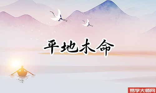平地木命的人一生的运势怎么样?