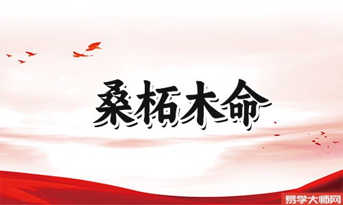 难遇知己,桑柘木命会是童子命吗