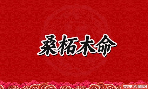 八字算命：桑拓木命人适合当官吗？