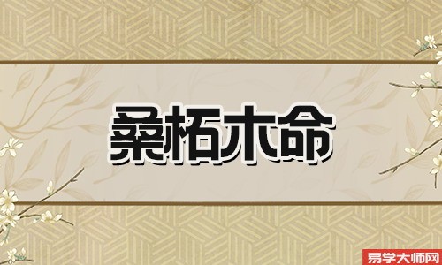 八字合婚测算,桑柘木命人会嫁给谁?