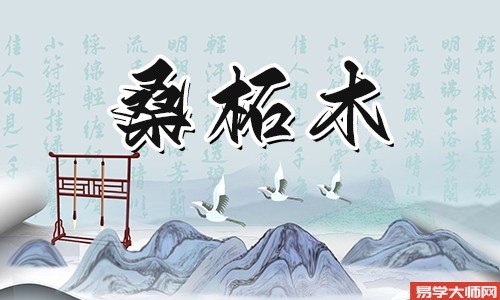 桑拓木命:伤官见官的人,一生财运如何?