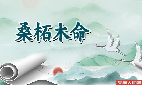 八字算命，桑拓木命和什么命蕞配