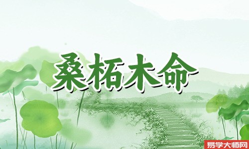 桑拓木命者如何找到自己的贵人,养开运竹?