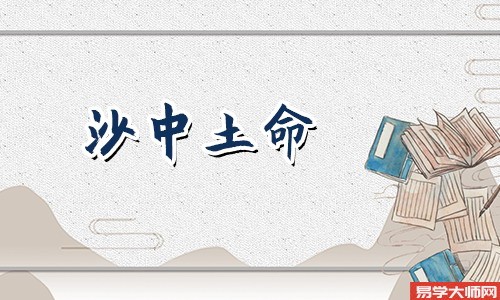 沙中土命人命带偏宫吗?