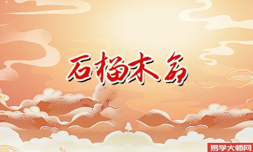 石榴木命人会有多大机率嫁给谁?