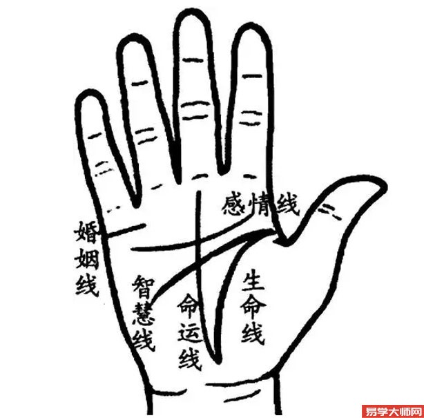 掌纹算命图解，从手相纹路看智慧