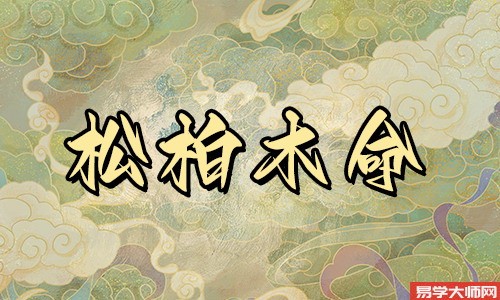 松柏木命带正印运势怎么样?八字入门栏目详解为你揭露