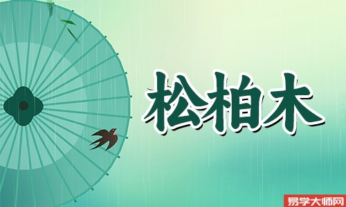 松柏木命人命带正印吗?命运怎么样?