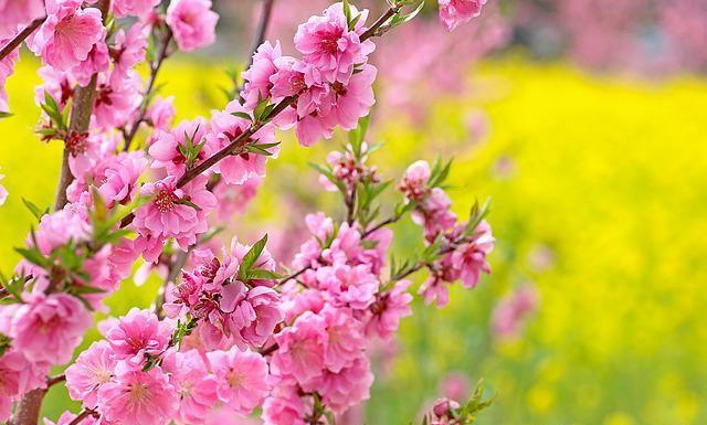 专题图片:太乙神数,适合晚婚的八字格局