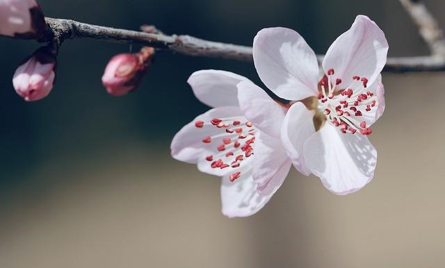 嫁二婚男、偏房、小三的命理特点
