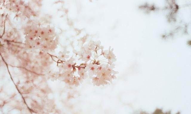 专题图片:命中晚婚的八字
