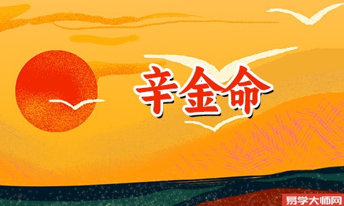 辛金命的人性格和命运如何?