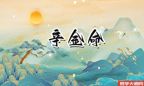 辛金命人你了解多少?
