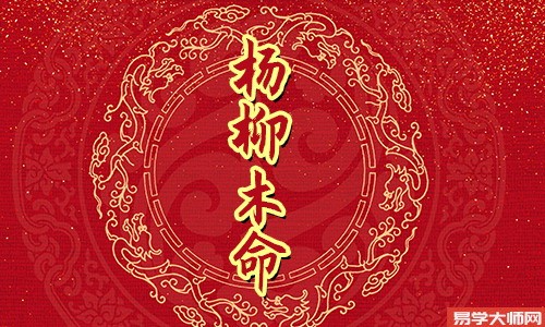 八字测算,杨柳木命和什么命的人婚配适合