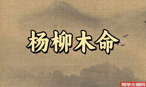 杨柳木命人会有财运吗?