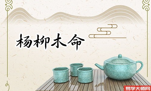 杨柳木命的人是伤官格吗,八字精批看未来你会成为什么样的人
