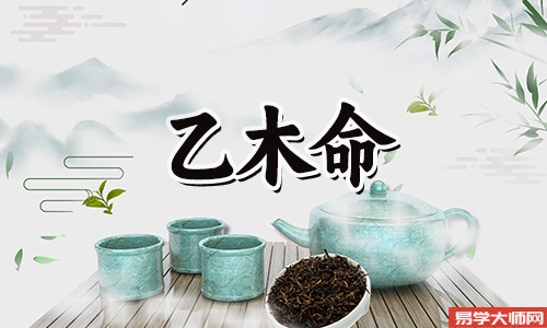 乙木命的男生具有哪些特质?