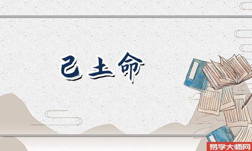 己土日元的人适合做什么职业?