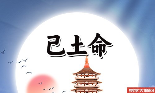 八字命理己土命的人,命运不会太差