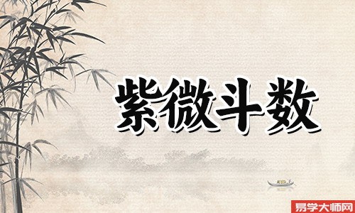 大同太阴禄在兄弟宫的紫薇命盘好不好?